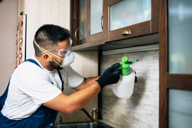 Best Emergency Pest Control  in Enigma, GA