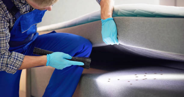 Best Flea Control Services  in Enigma, GA