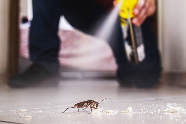 Best Cockroach Control Services  in Enigma, GA