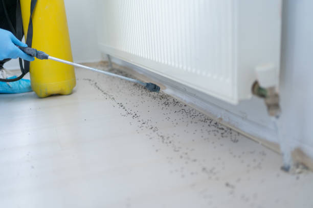 Professional Pest Control in Enigma, GA