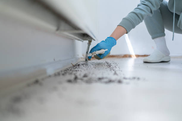 Best Pest Prevention Services  in Enigma, GA